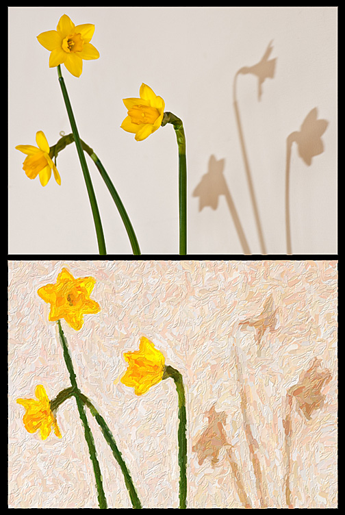 Sunny Daff's