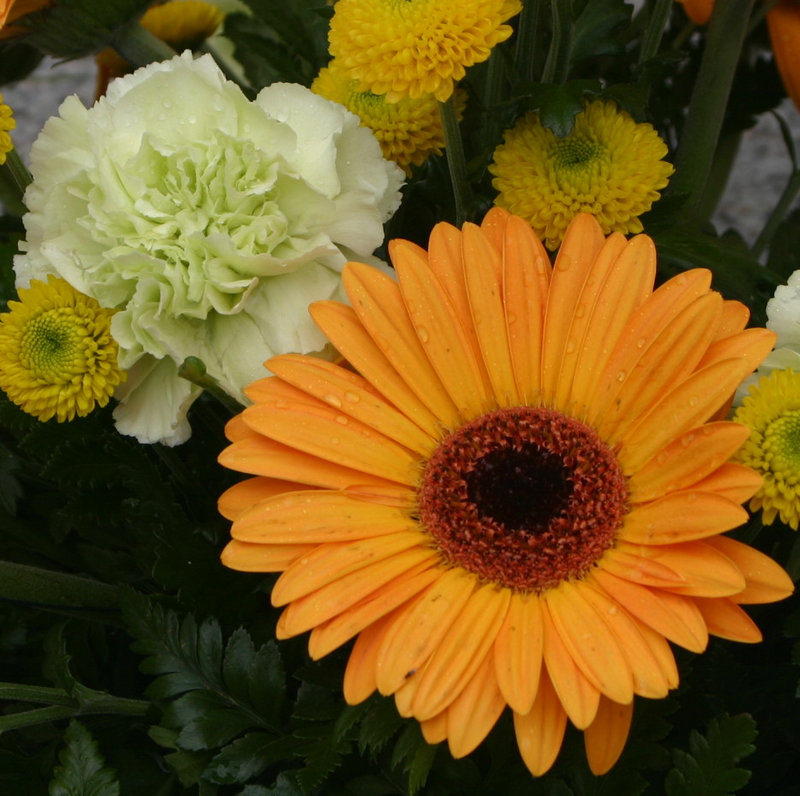 test flower.jpg