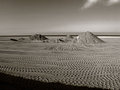 Deauville dunes
