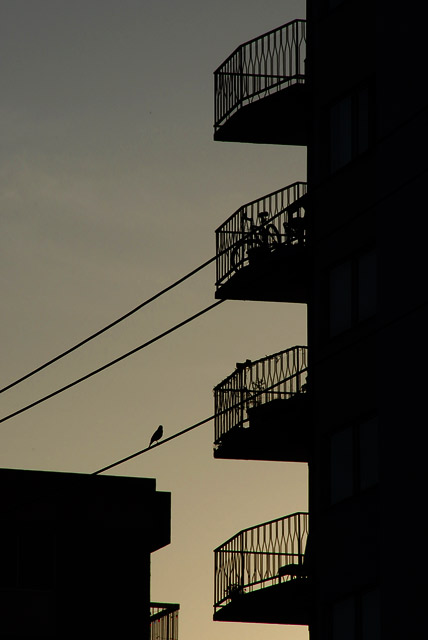 wire
