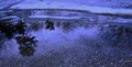 Reflections of the Receding Winter