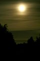 moonlight