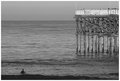 Lone Swimmer & Crystal Pier
