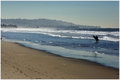 Beach & Board