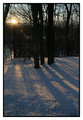~snow & light~