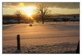 Winter Sunrise
