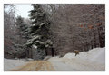 Country Road in Winter