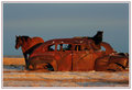 Horses & Cars - Badlands