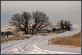 Snowy Road