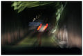 covered bridge lights