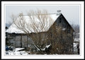 snowy day ~ barn