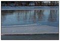 Creek Ice