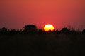 Sun Goes Down