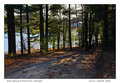 Perch Pond, Early Spring