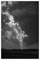 Storm & Light