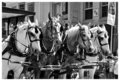Parade