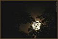 Moon Up