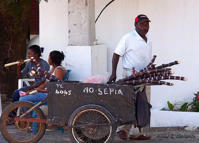 Sugar Cane Vendor