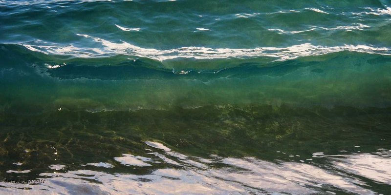 Anatomy of a Wave