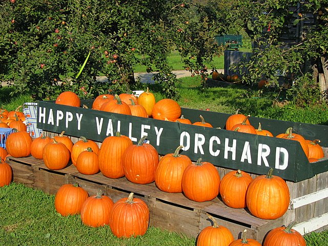 Happy Valley Orchard