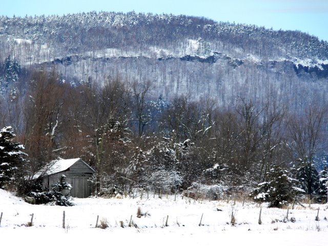 Snake Mountain Backdrop