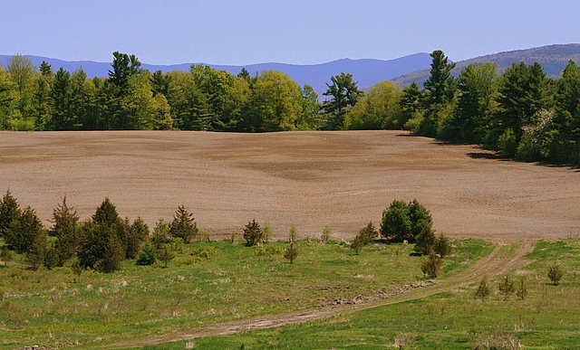 Farm in Spring