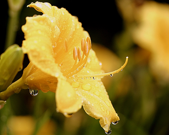 Day 12-~After the Rain~