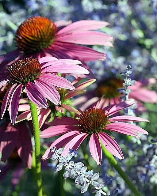 Garden Bouquet