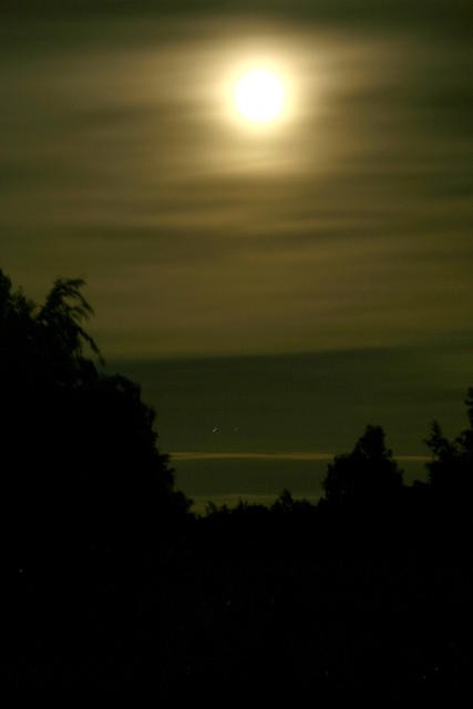 moonlight