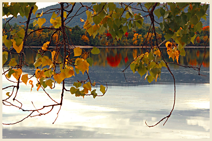 Lakeside Reflections