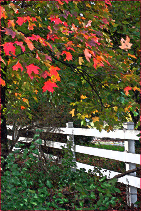 Fence and Foliage