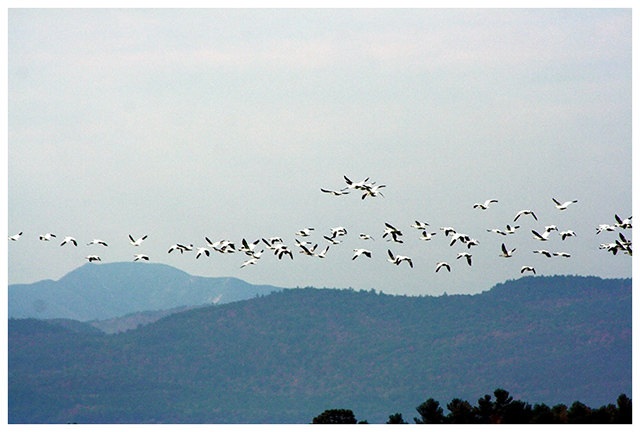 ~Heading South~