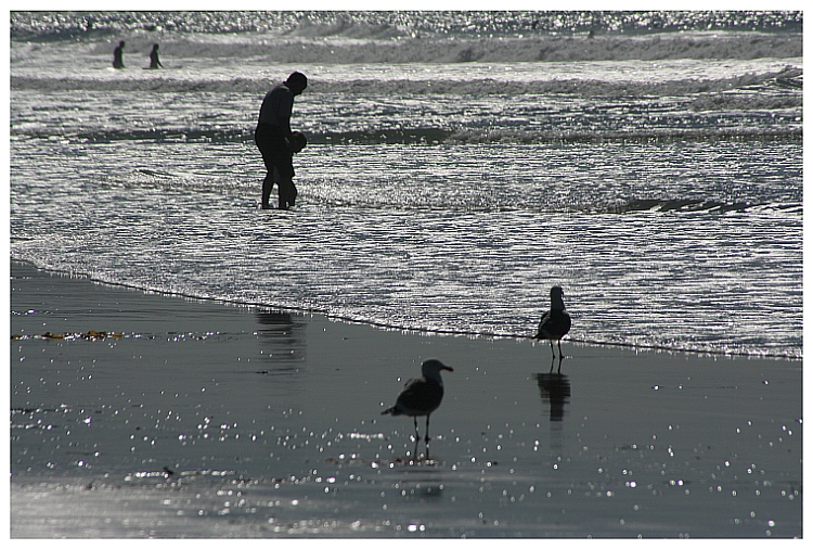 Beach Silhouettes