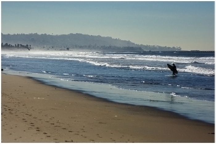 Beach & Board