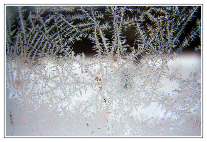 frost