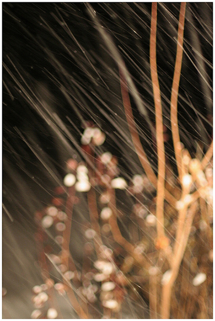 winter storm