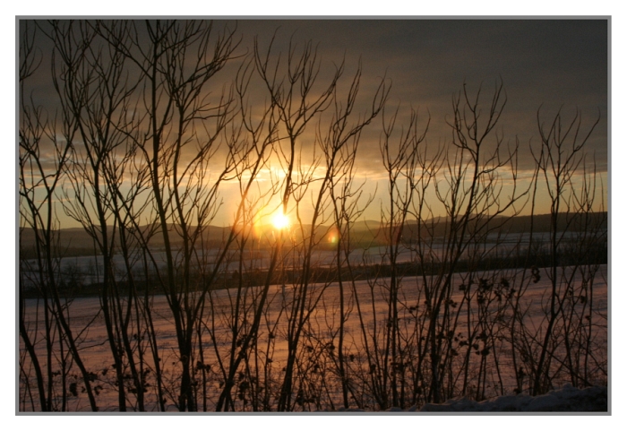 Morning Light