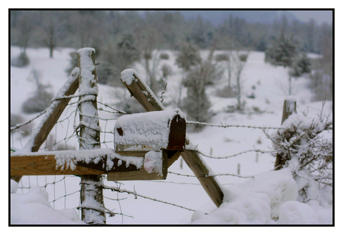 snow~covered