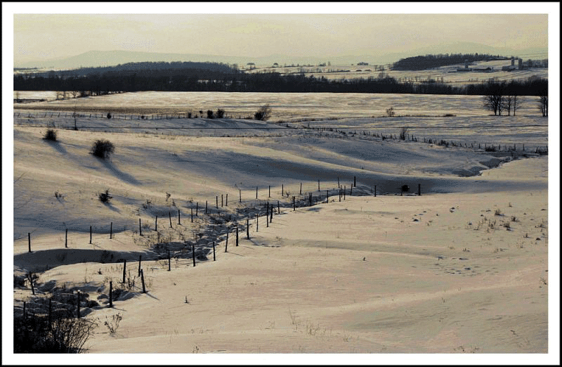 Snowy Terrain