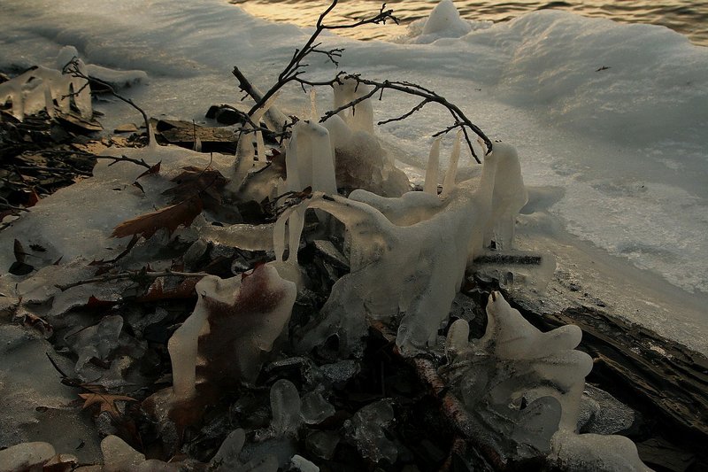 iced