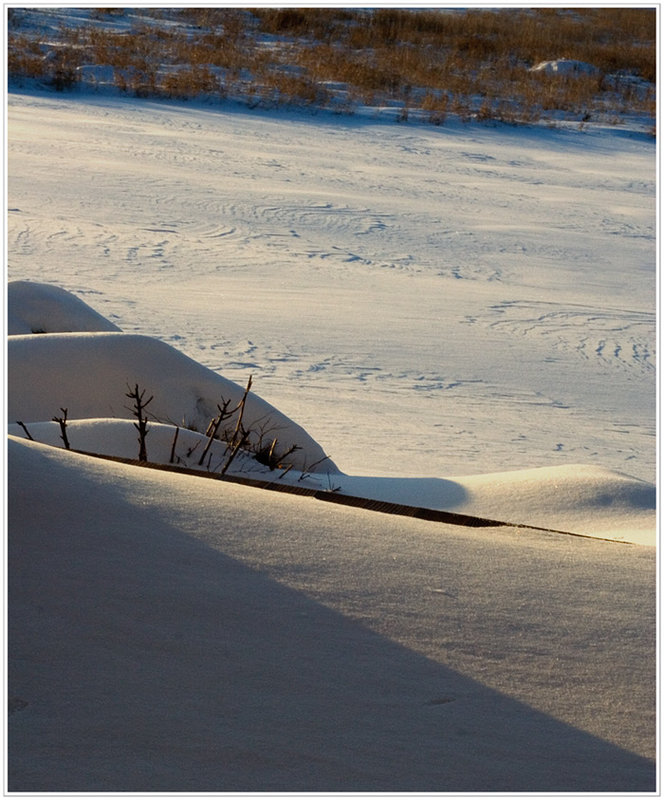 Snow & Light Study