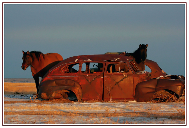 Horses & Cars - Badlands
