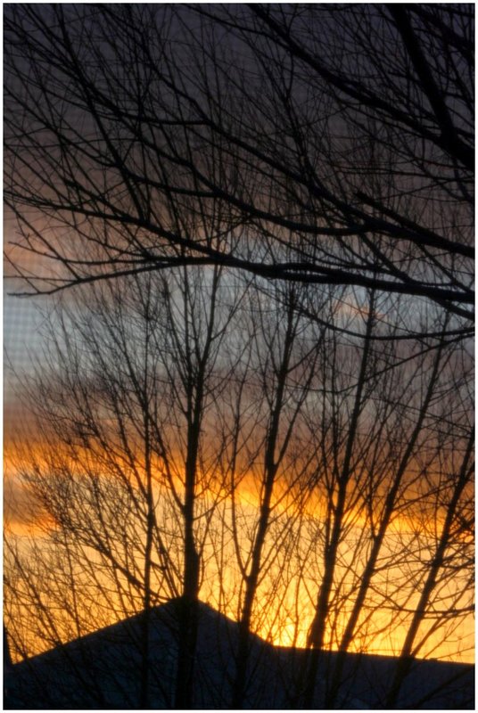 Out my WIndow