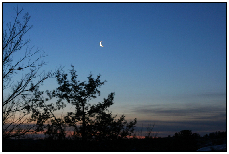 As Night Turns to Day