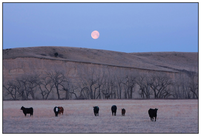 Badlands Moonset, Easter Morn
