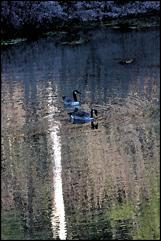 Colors of Early Spring