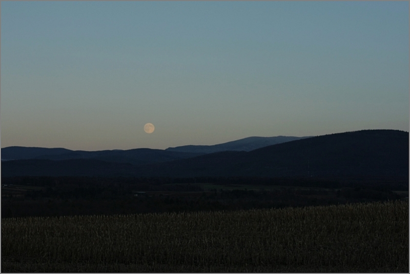 Field and Moon