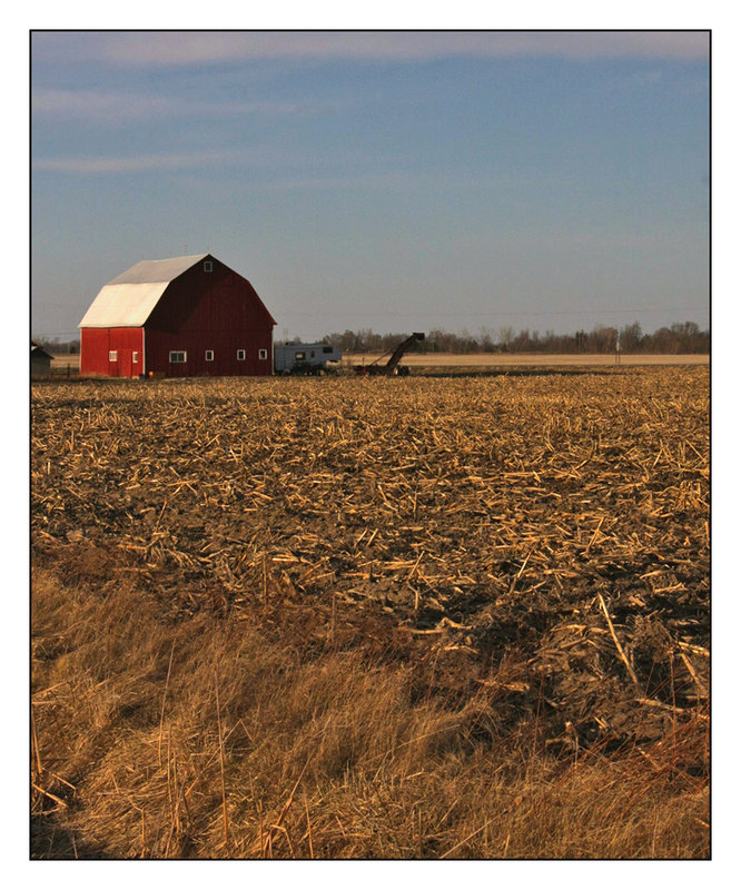 Michigan Barn and Field