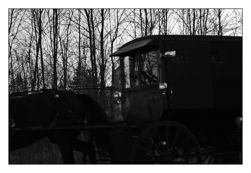 Amish Carriage