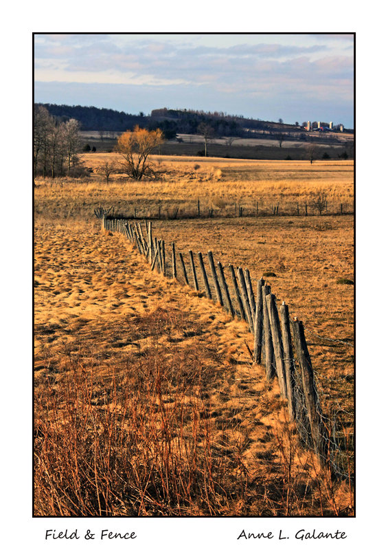 Field & Fence